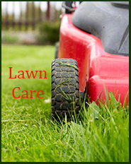 lawn-care-copy