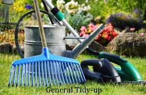 tidy-up